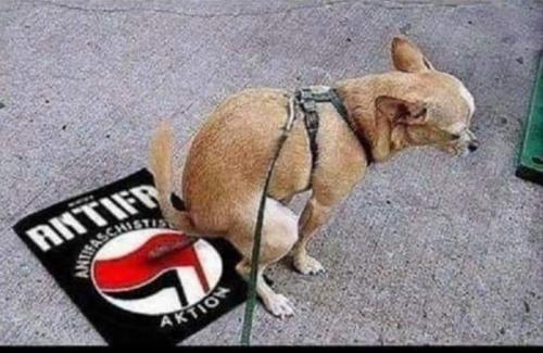 FB_IMG_1591492049791