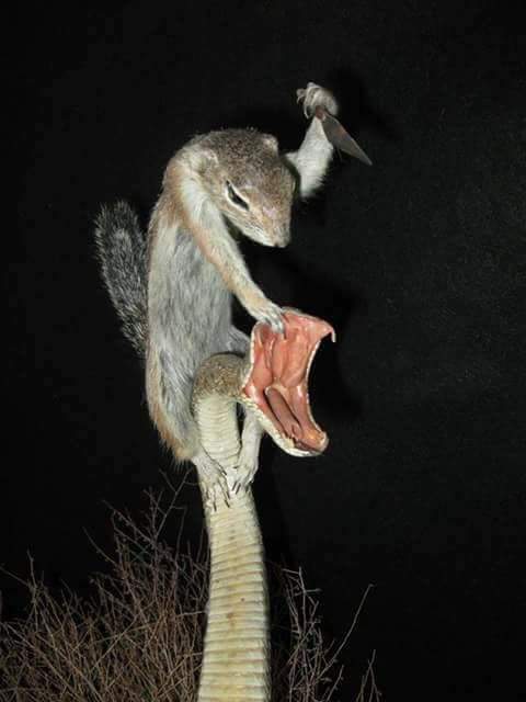 17:58:06 GMT-0500 (CDT)