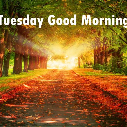 08:22:28 GMT-0600 (MDT)