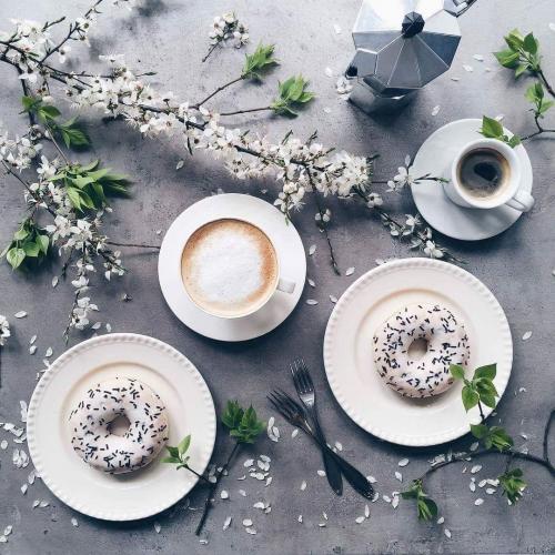 13119896_10201530934991179_4081654233409903476_o_10201530934991179