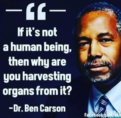 23:03:39 GMT-0400 (EDT)