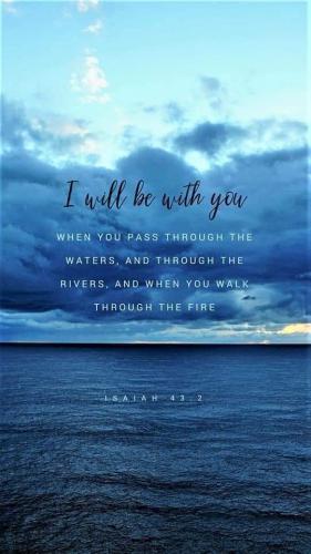 FB_IMG_1603876468252