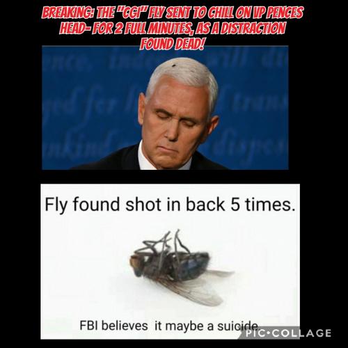 Collage 2020-10-12 14_21_28