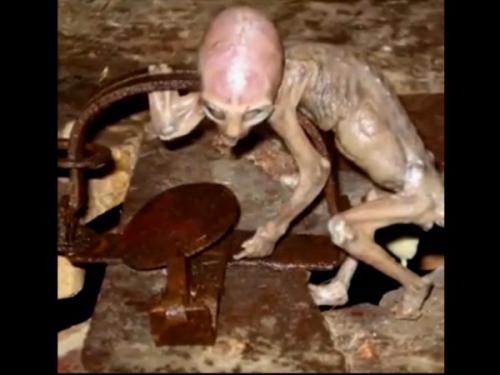 humancloneexperiment7