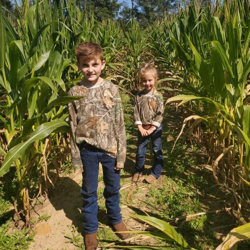 IMG_20201003_194356_331