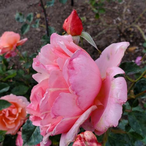 12:32:24 GMT-0500 (CDT)