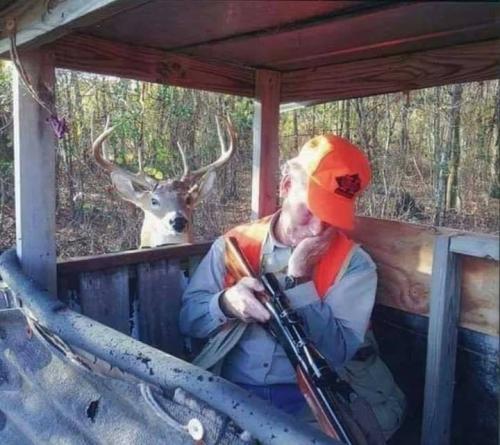 122069297_441405276839874_3757116371109901969_n