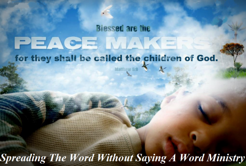 50546924_415673405841483_702437116667232256_n