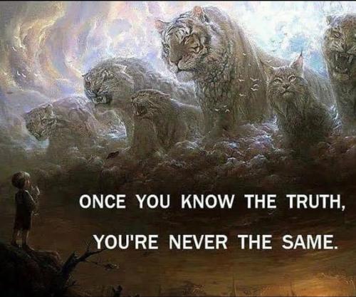 105649866_10157751162750674_3156325901907539719_n