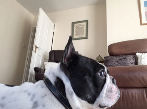 11:25:37 GMT+0100 (WAT)