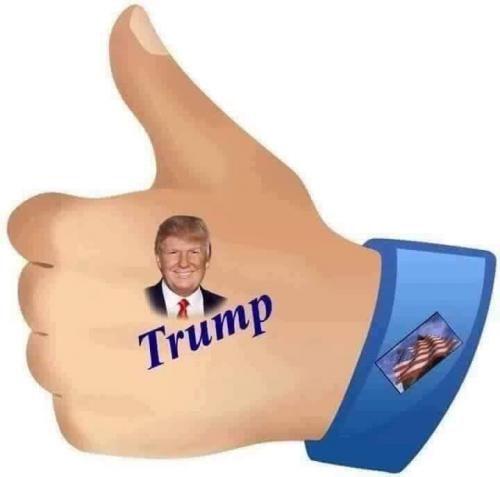 FB_IMG_1599356279060