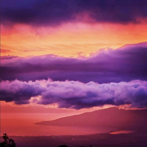 8D6F75EB-F457-4BFC-B9E3-C7A5D03D1761