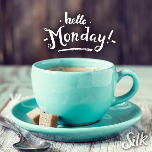 13131287_10201538610503062_8554983056410243380_o_10201538610503062