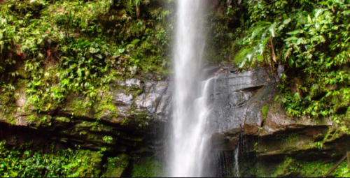 Captura de Pantalla 2020-10-16 a la(s) 17.48.52