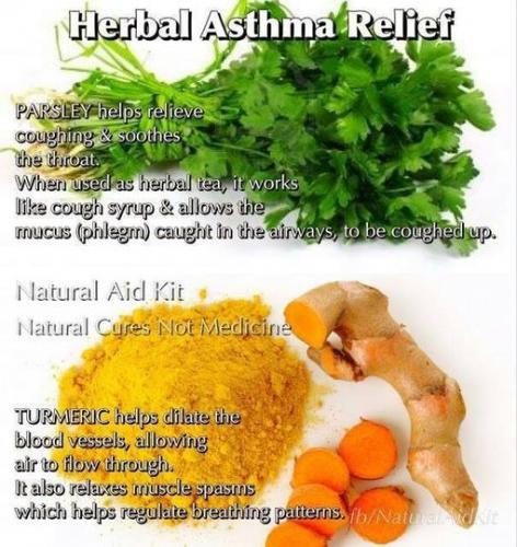 904223_678137818893351_2033730668_o