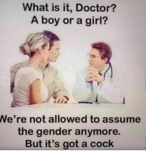 122082988_386347292406686_8468013622012033063_n