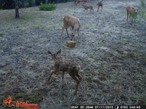 998213_10201668850341633_231402274_n_10201668850341633