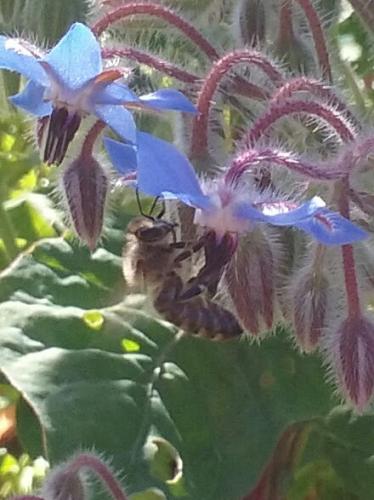 17:21:25 GMT-0700 (PDT)