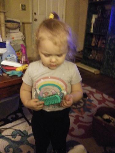 IMG_20191118_183329_01