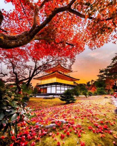 121364952_2690072854542507_7142345530761920388_n