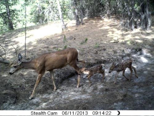 1016773_10201513527218652_813913365_n_10201513527218652