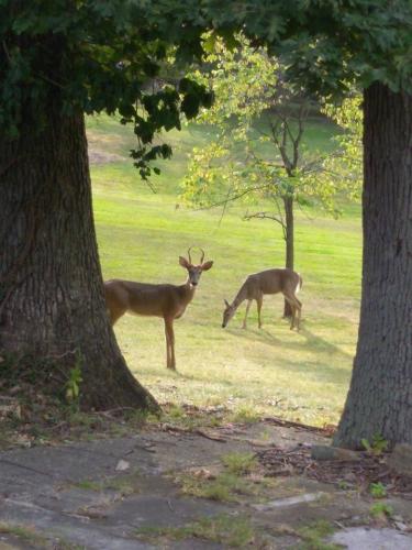 21742979_10203572492748847_3467087170337321733_n_10203572492748847