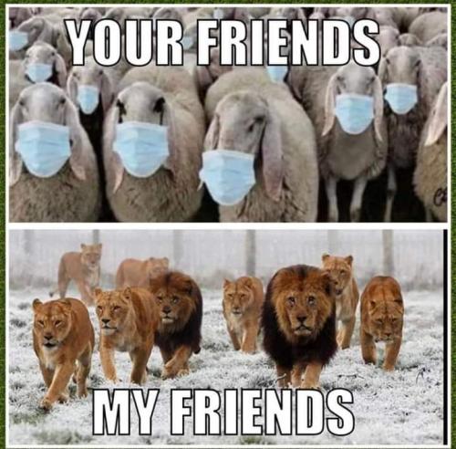 FB_IMG_1594767878339