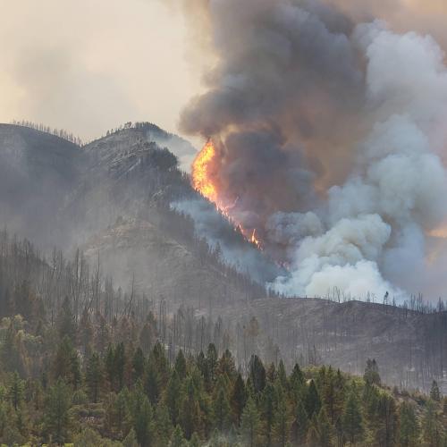 09:17:52 GMT-0500 (CDT)