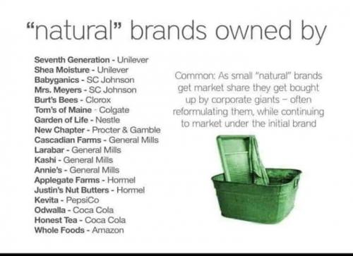 FB_IMG_1560349838601