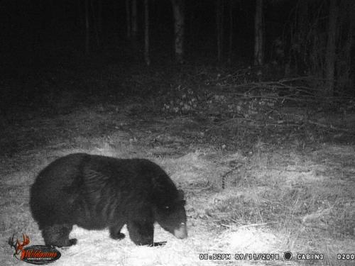 46936972_10217827185089903_8928790855771226112_o_10217827185049902