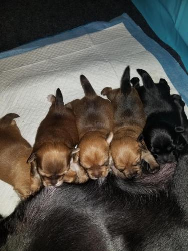 22:52:48 GMT-0500 (CDT)