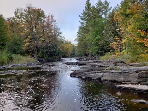 18:49:05 GMT-0500 (CDT)