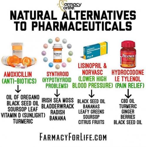 FB_IMG_1545236034155