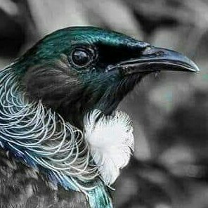 12:52:27 GMT+1300 (NZDT)