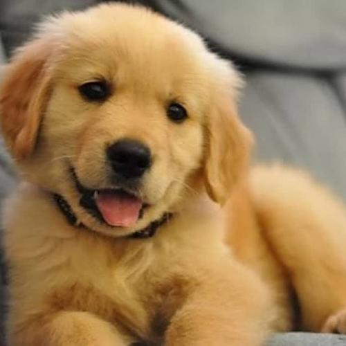 15:22:14 GMT+0100 (WAT)