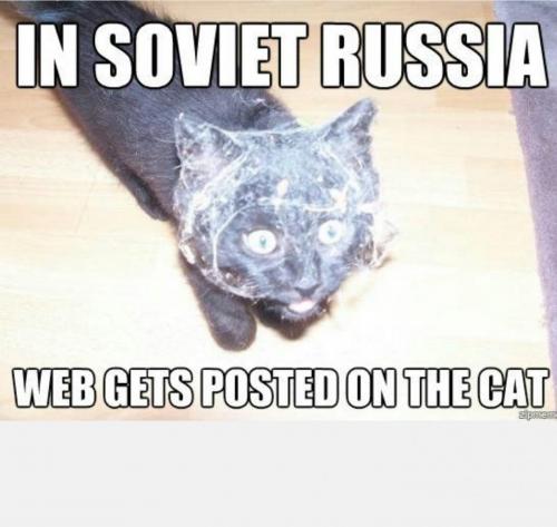 14103042_10201950360796562_6440289170043103266_o_10201950360796562