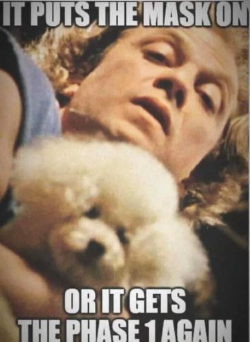 FB_IMG_1594229106458