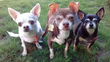 18:40:45 GMT-0700 (PDT)