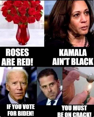 121778733_4041086712573733_1316578045863416878_o