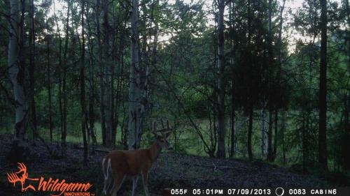 1005333_10201668847941573_620804846_n_10201668847941573