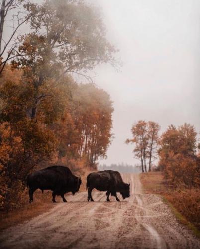 tumblr_pfda0bBRVX1sbh9awo1_540