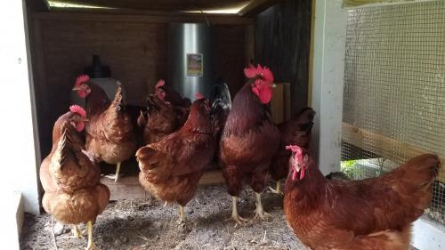 14:14:30 GMT-0400 (EDT)