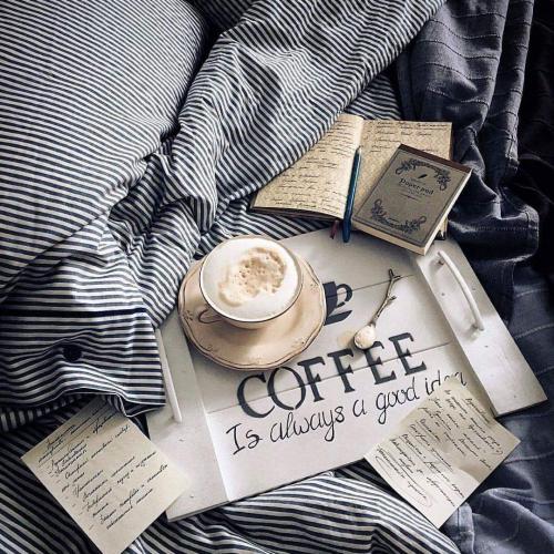 14124454_10201956146541202_1698201902423013672_o_10201956146541202