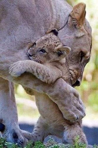 16:22:56 GMT-0500 (CDT)