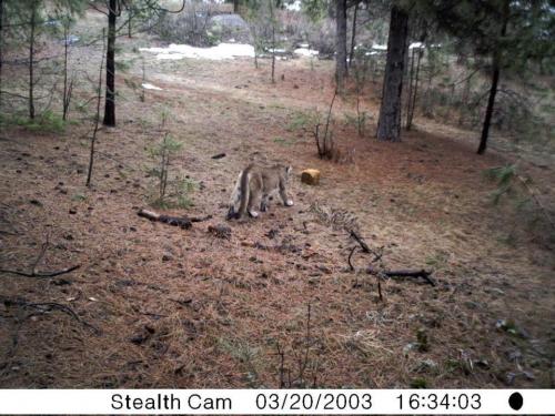 526614_10201010744769405_683517167_n_10201010744769405