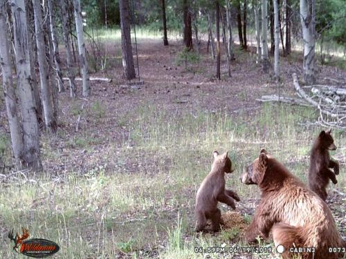 67743370_10219691359693103_1340168012694552576_o_10219691359613101