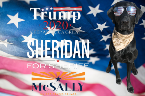 268E1C6E-C822-4F71-8EC1-C3B685E17B01