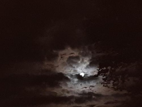 22:39:14 GMT-0400 (EDT)