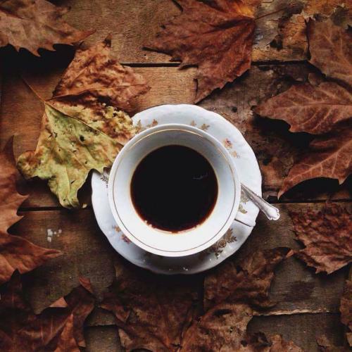 15284977_10202383352461083_5739229709140977564_n_10202383352461083