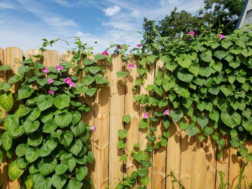 14:59:43 GMT-0500 (CDT)